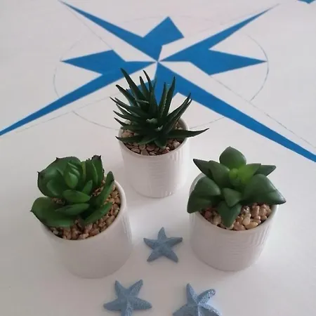 Noks Sp Apartments-elenite